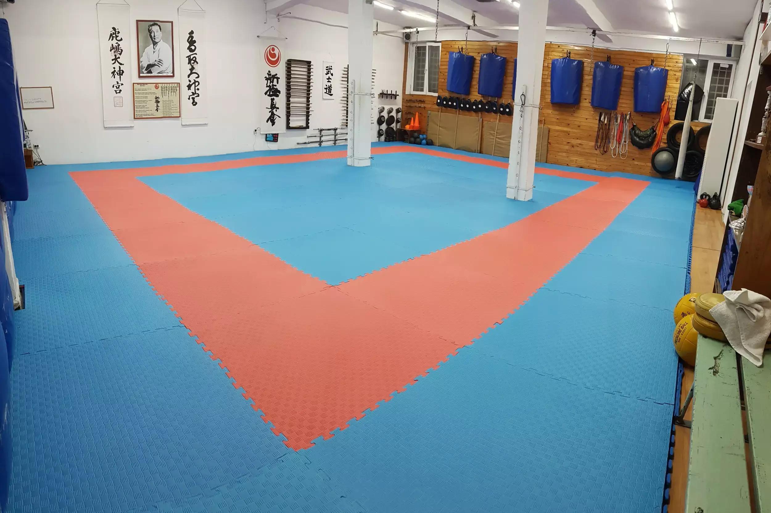 Terziev Dojo Shinkyokushinkai