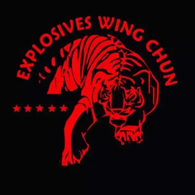 Explosives Wing Chun Varna