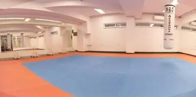 Академика спорт Kostov's Dojo