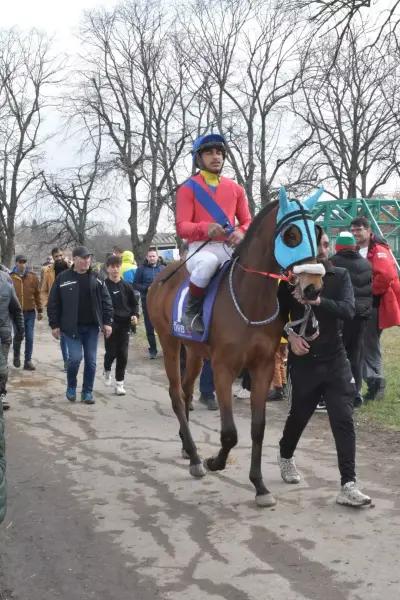 Ездови клуб "Шумен-2010"/Horse riding club "Shumen-2010"