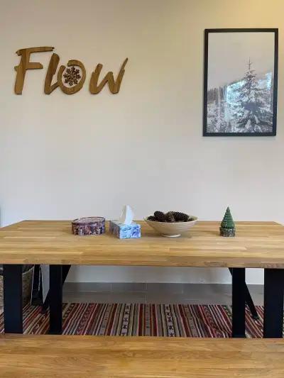 Flow Ski Academy