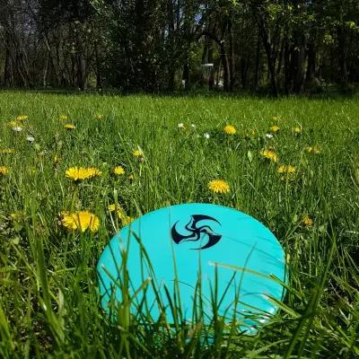 Disc Golf Basket