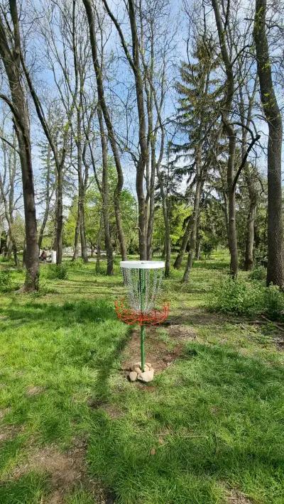 Disc Golf Basket