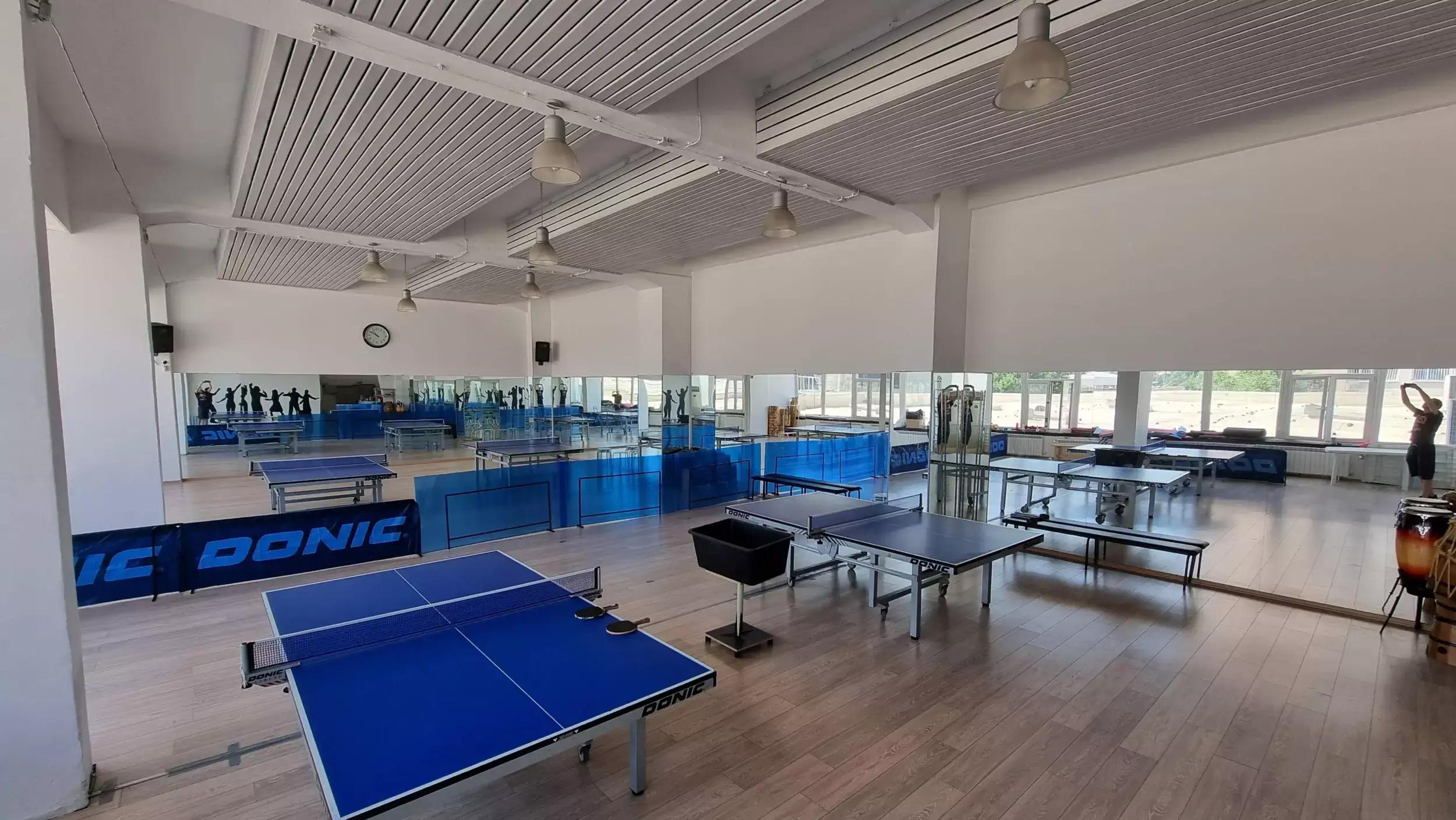 Тенис на маса (Table Tennis Station СК Витоша)