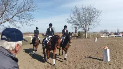 Horse riding club "Equestre"