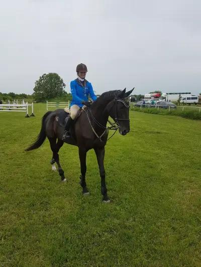 Horse riding club "Equestre"