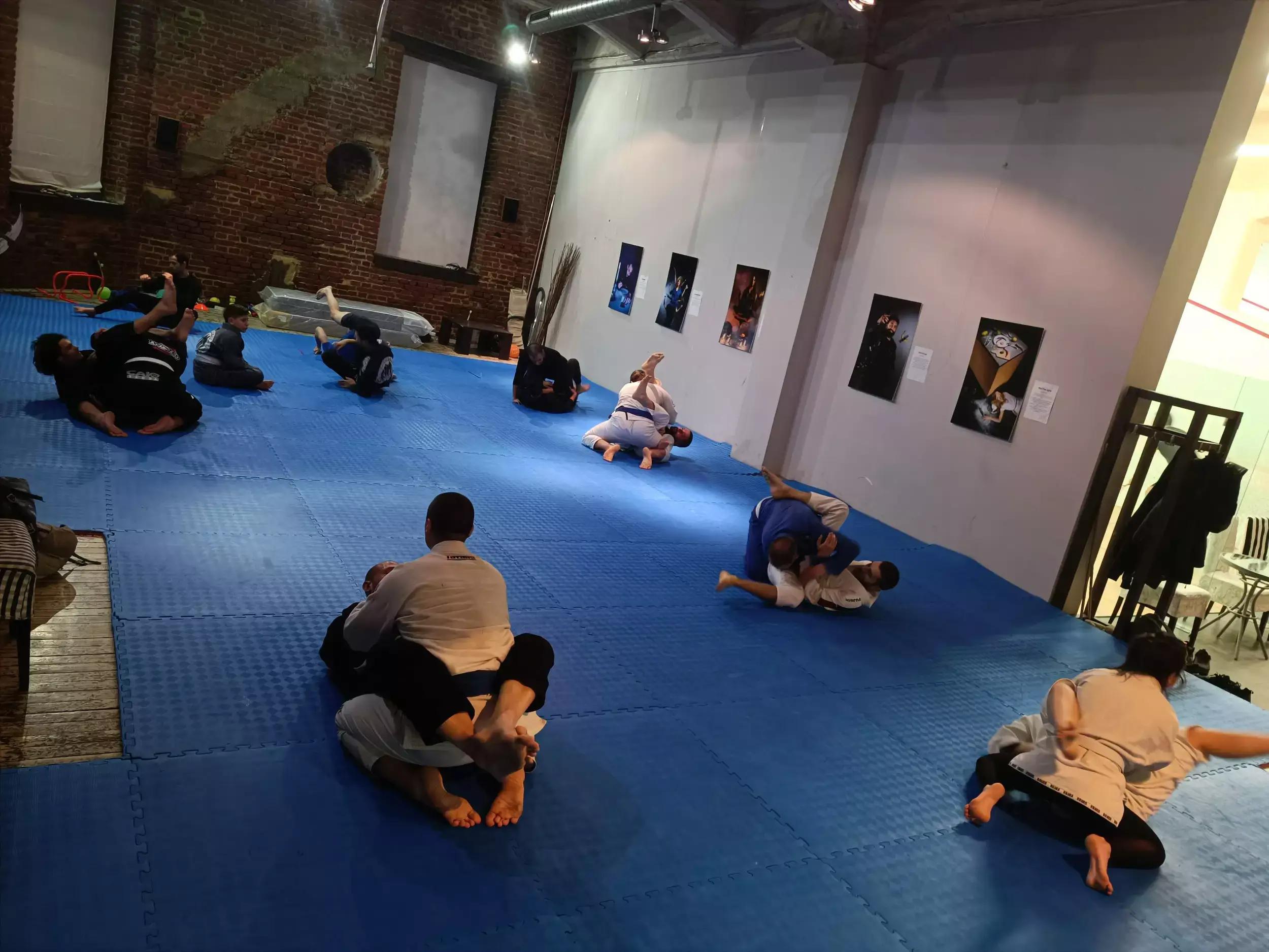 Raiders jiu-jitsu / Twisted jiu-jitsu Plovdiv