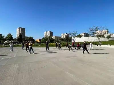 Yang Family Tai Chi Chuan Park