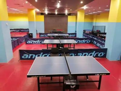 Table Tennis Center Mall Varna