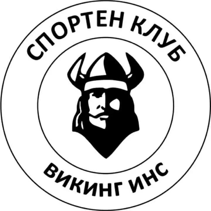 СК ВИКИНГ ИНС