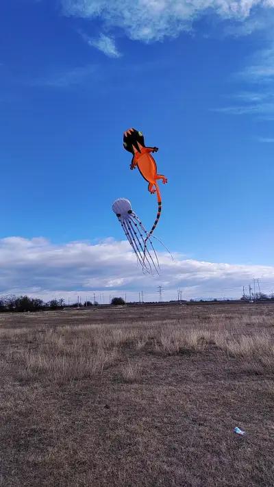 Kite Park Plovdiv - Kite BG