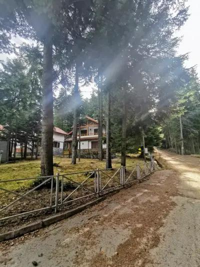 The Forest Villa Borovets