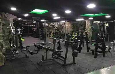 Evolution Gym