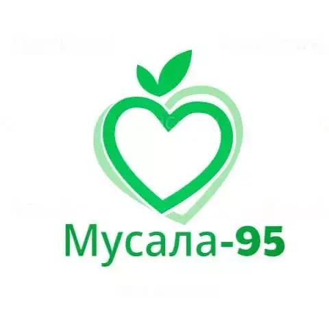 "Мусала-95" ЕООД