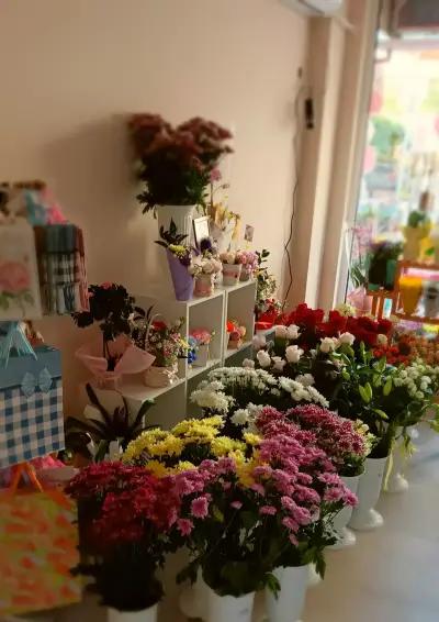 DARIS - flower and gift shop