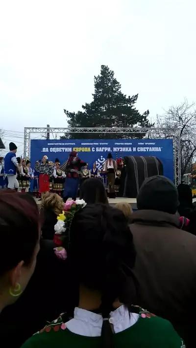 Кметство Волуяк