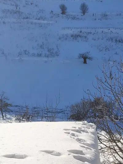 Кметство Стоманево