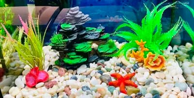 АКВАДИЗАЙН Акваристика-бул.Ситняково