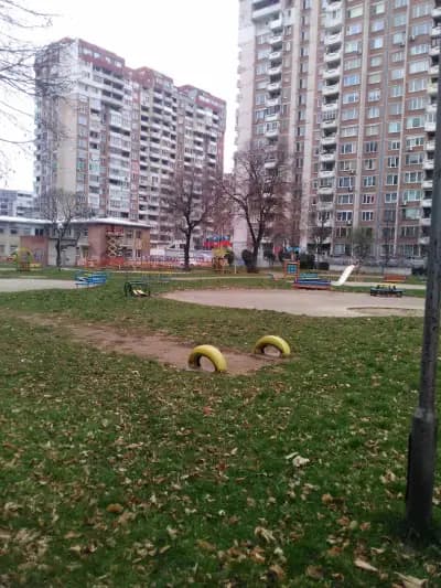81 ОДЗ „Лилия“